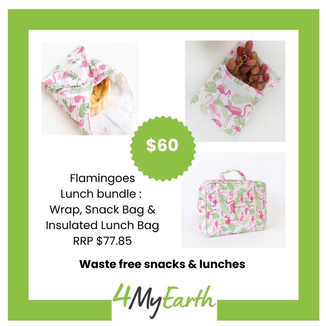 Lunch Bundle