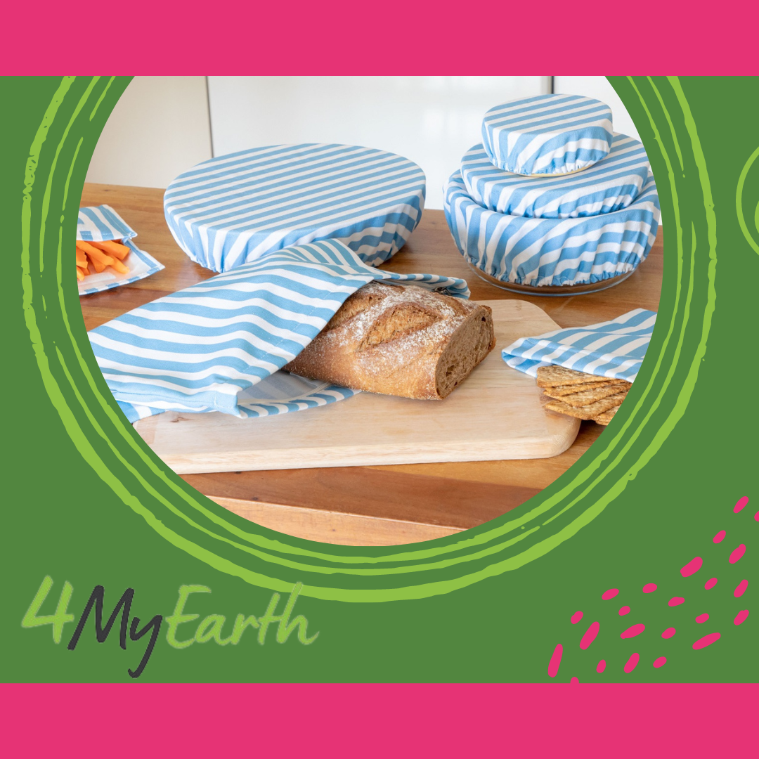 4MyEarth - a snapshot! Part 3.