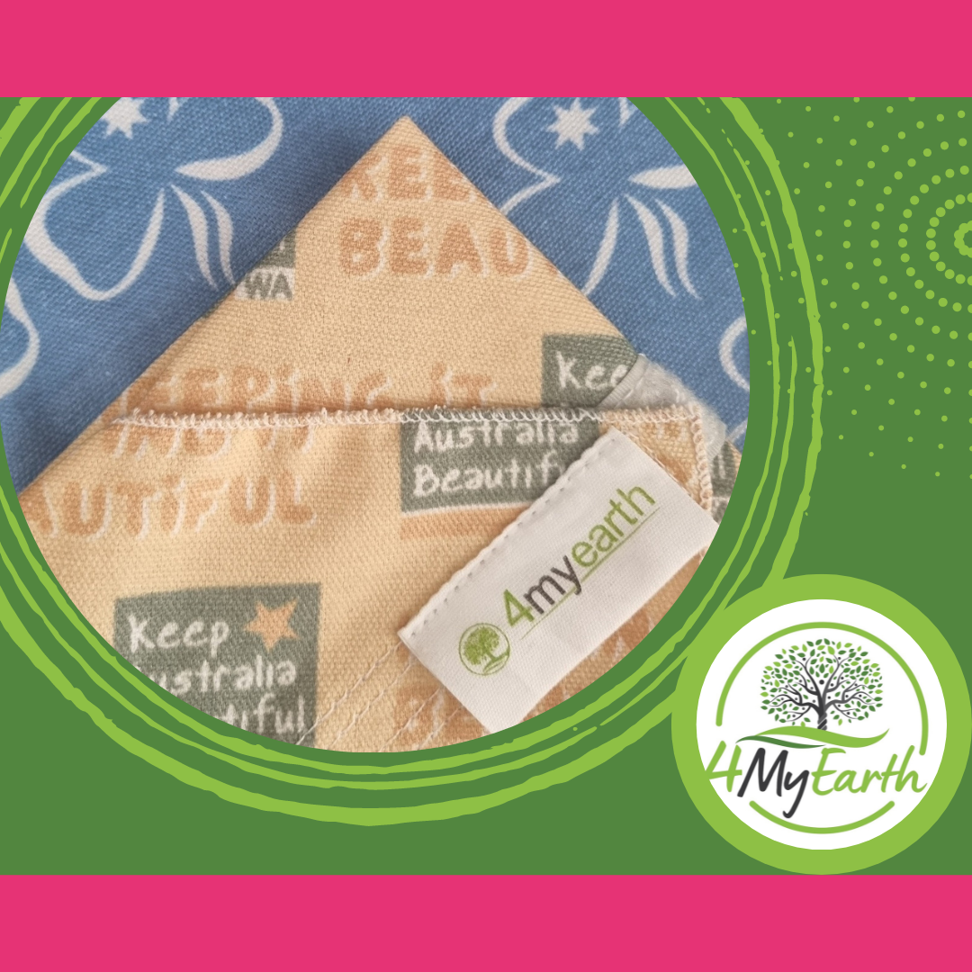 4MyEarth - a snapshot! Part 2.