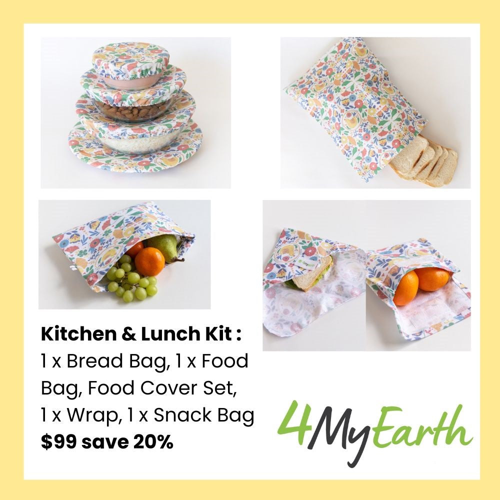 Kitchen + Lunch Kit