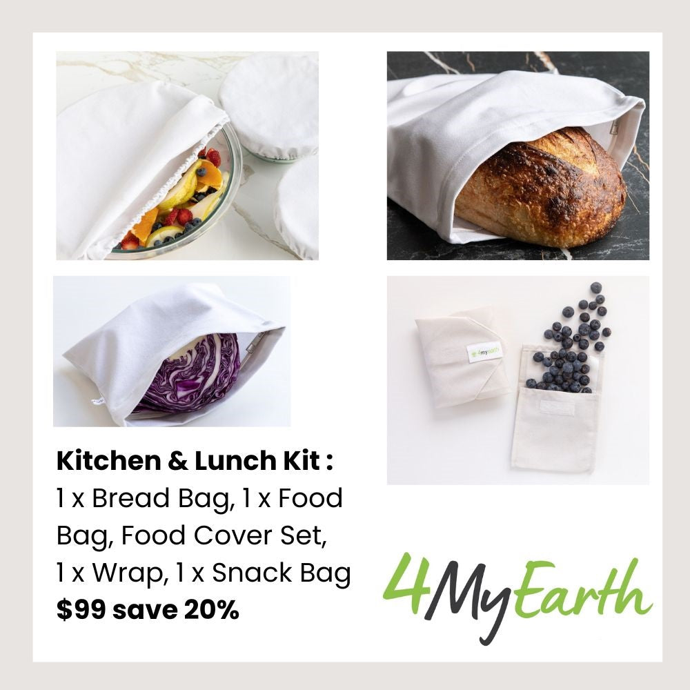 Kitchen + Lunch Kit