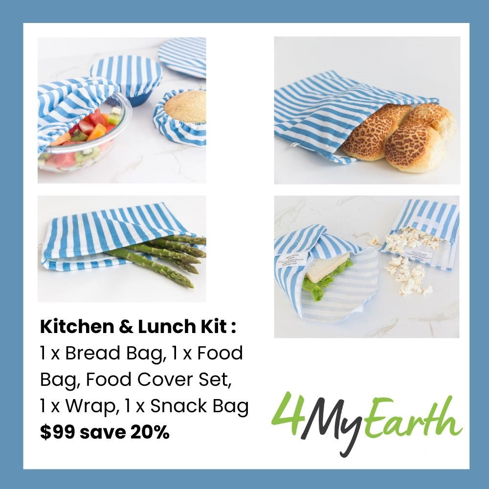 Kitchen + Lunch Kit