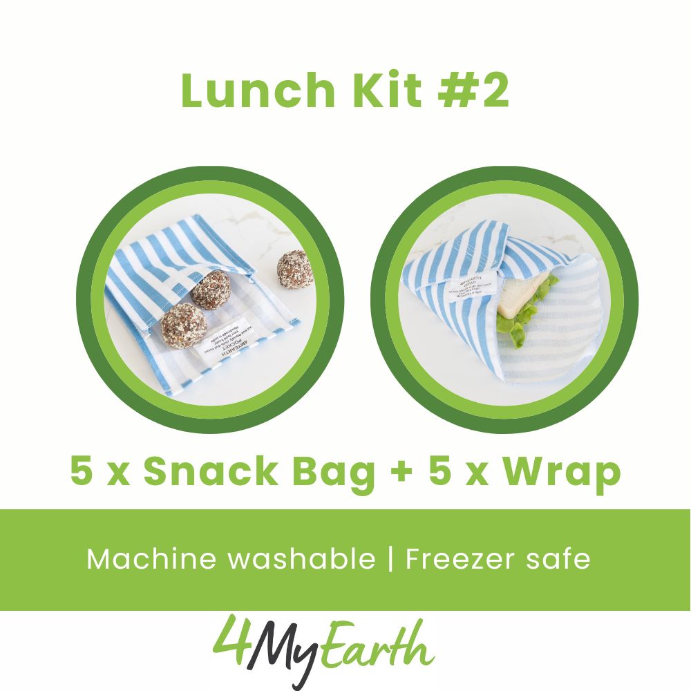 Waste Free Lunch Kit #2